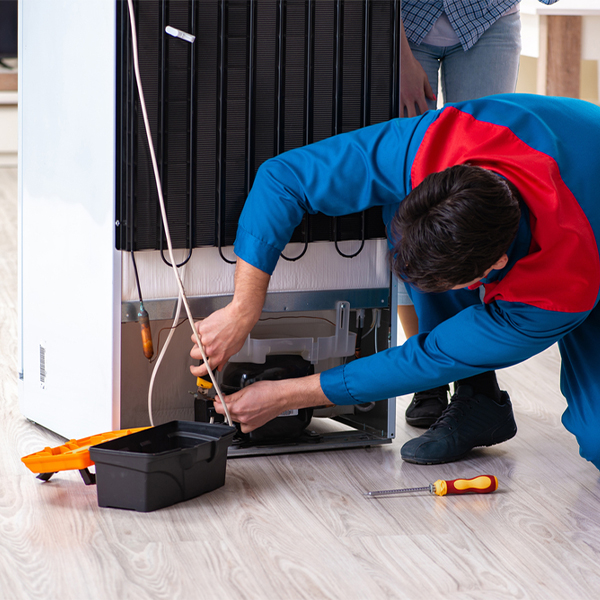 what are the common refrigerator repair services in Ribera NM